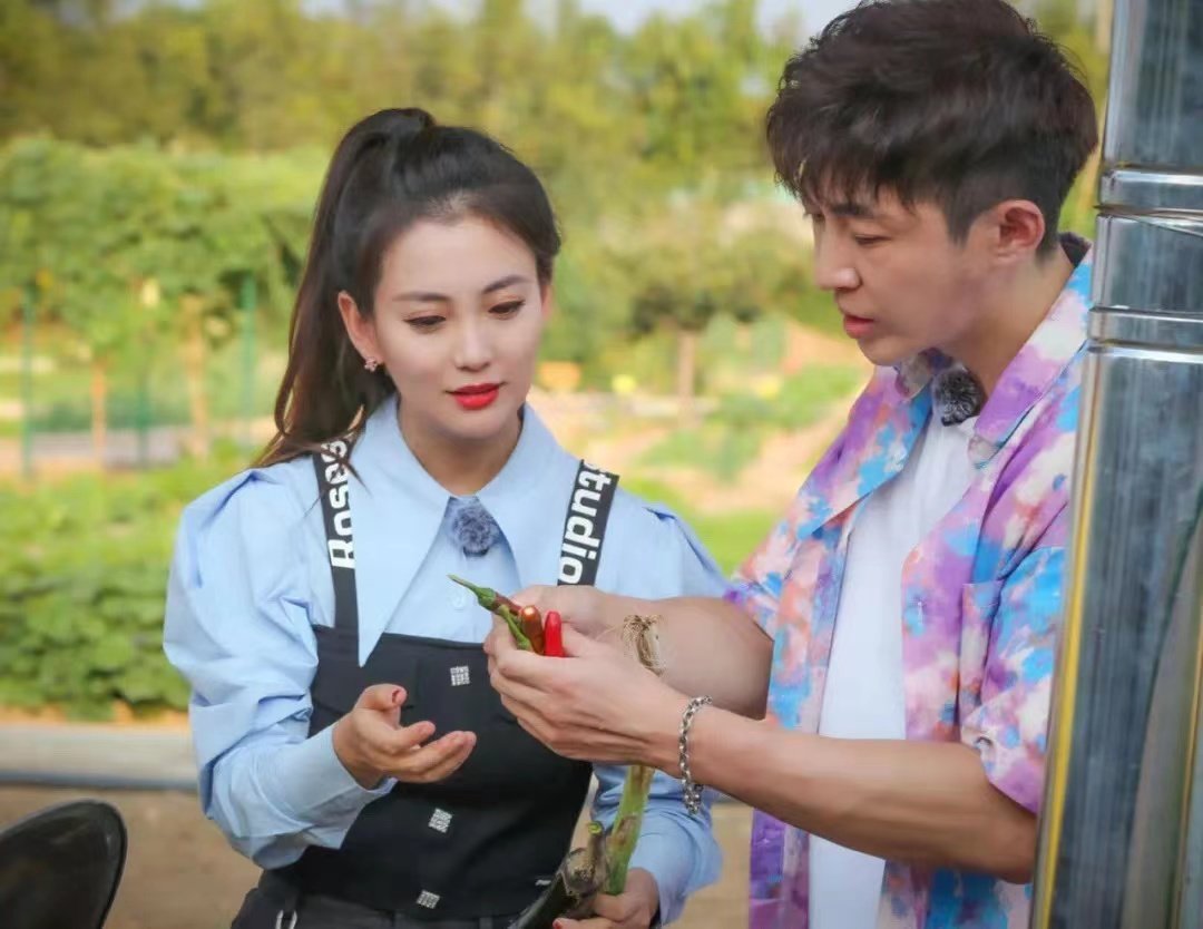 《在希望的田野上》即将开播！《三泉溪暖》演员重聚开启逗趣田园生活