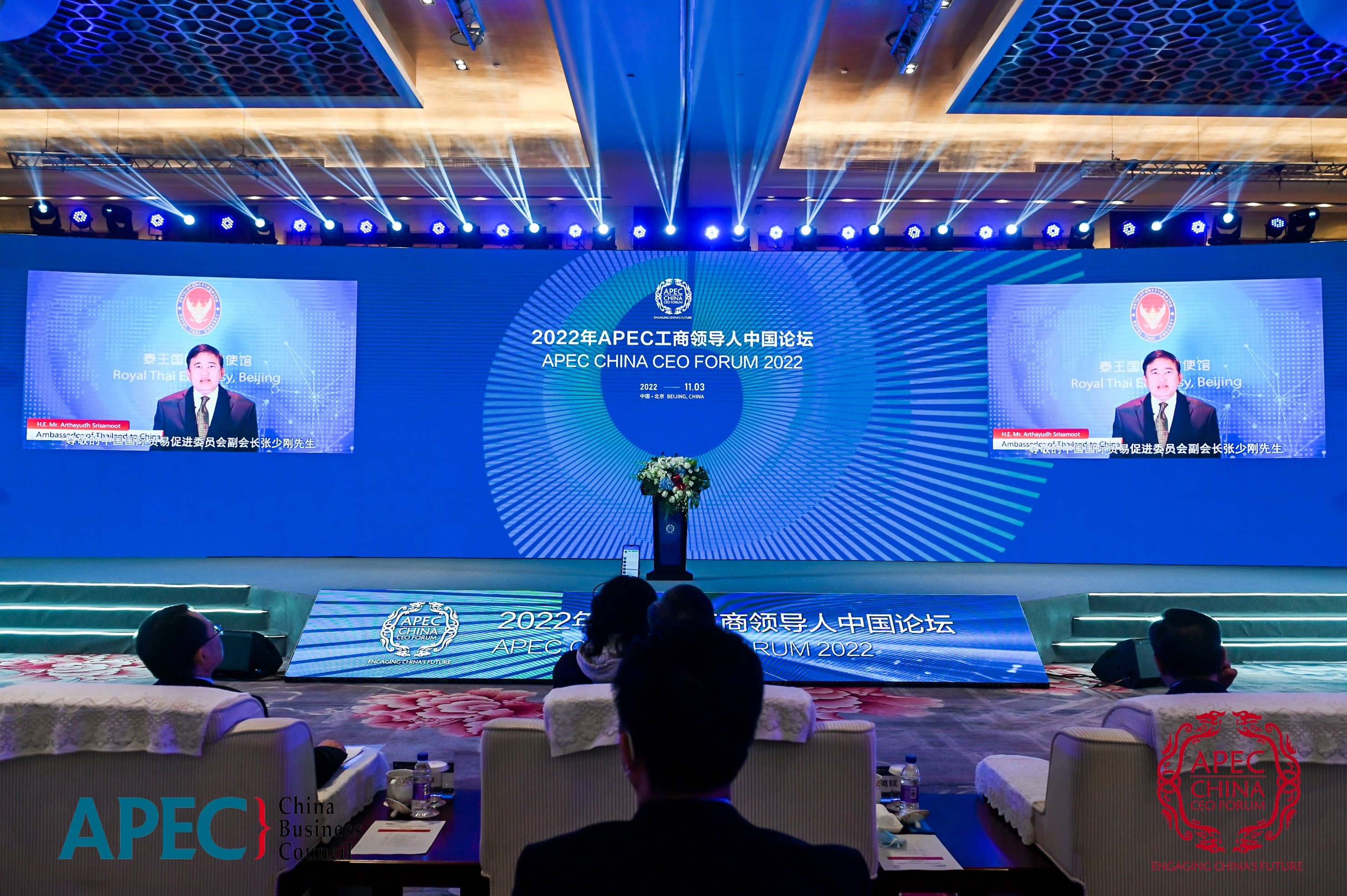 泰王国驻华大使：泰国愿与中国加强合作，尤其在电子商务、可再生能源等领域