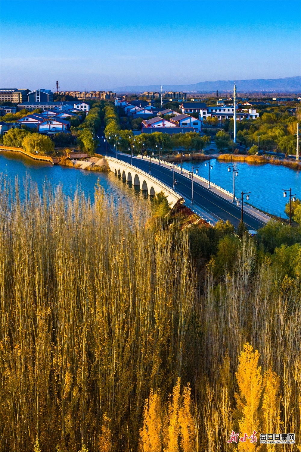 镜观陇原：树树黄叶耀甘州 古城秋色堪入画