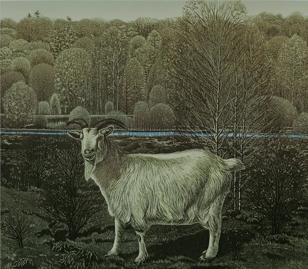 《静水悠幽》 刘德才