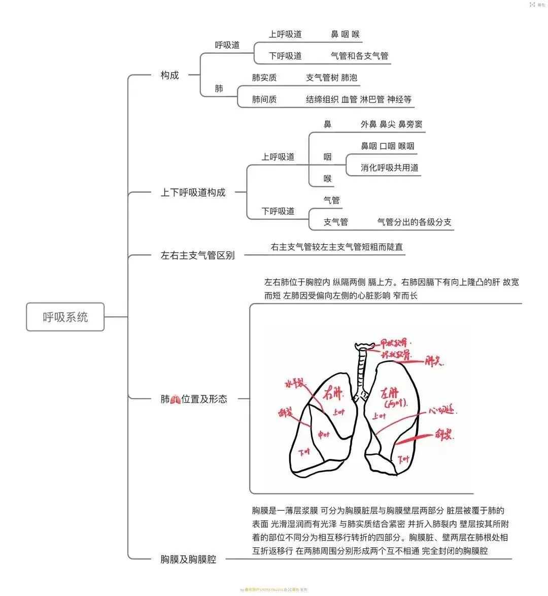 药学院2021级 骆锦锦