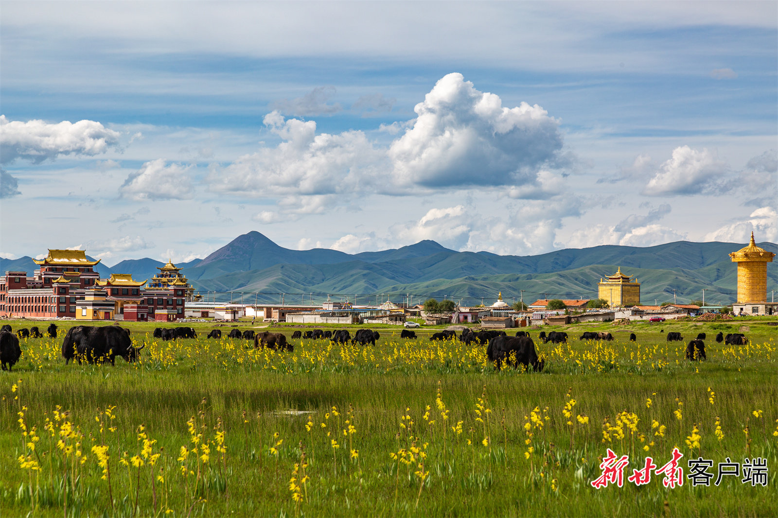 甘肃玛曲：书写黄河上游生态保护和高质量发展新篇章