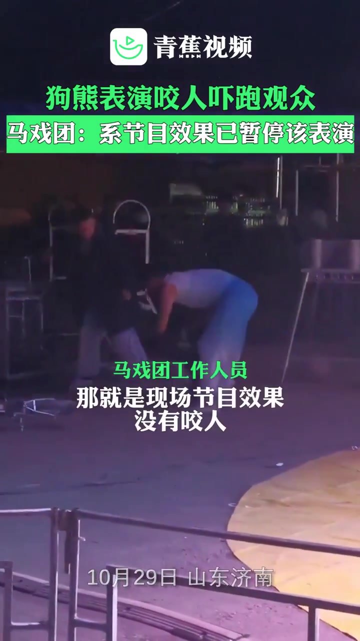 狗熊表演扑咬工作人员吓跑观众 马戏团：系节目效果，已暂停狗熊表演