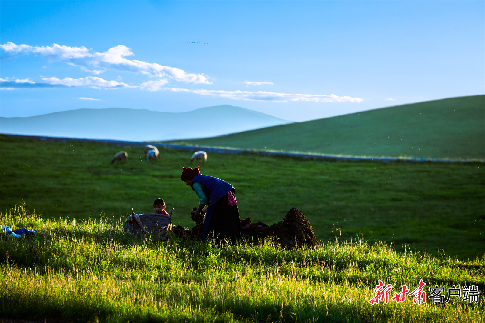 甘肃玛曲：书写黄河上游生态保护和高质量发展新篇章