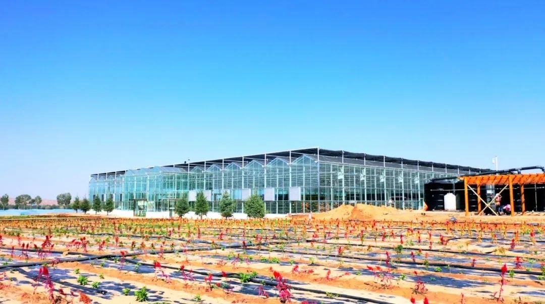 ▲山丹县农村产业融合发展示范园智慧农业示范区