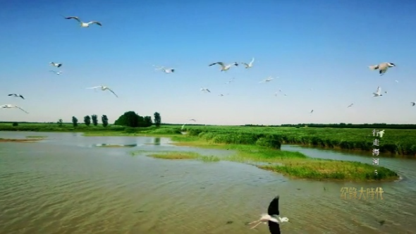 行走海河：气韵（上）