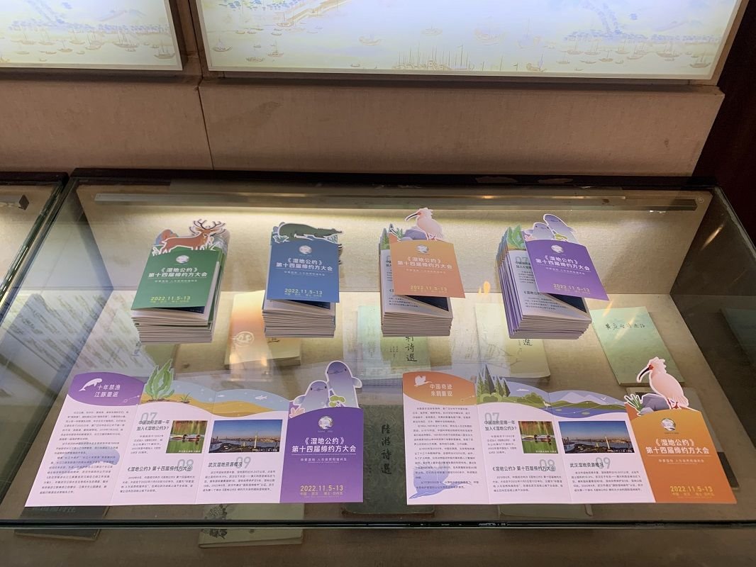 黄鹤楼公园主楼内的大会宣传折页。郑佼 摄