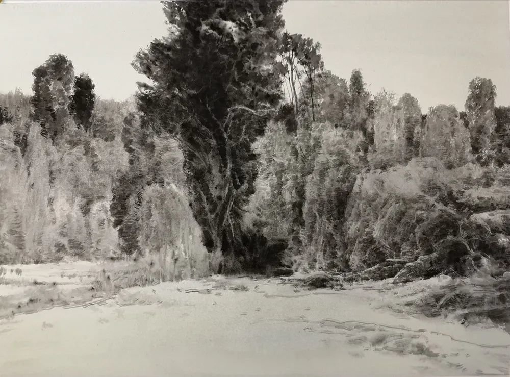 《冬日序曲》 张玉新