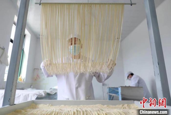 河北省邢台市任泽区刘家庄村村民正在制作手工挂面。　宋杰　摄