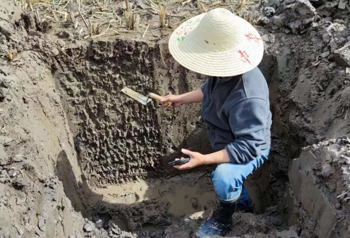 推开华西二院精子库大门，我们踏上了四川唯一的“取精”路 | 自由微信 | FreeWeChat