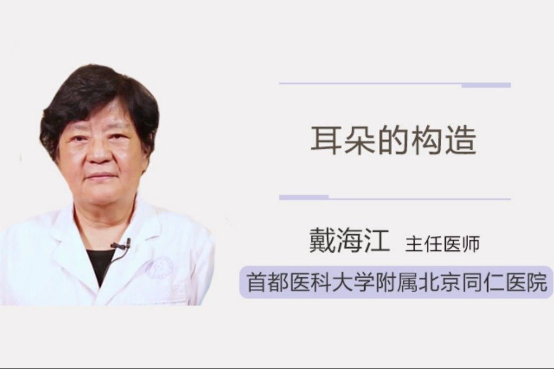 医生讲解：耳朵的构造