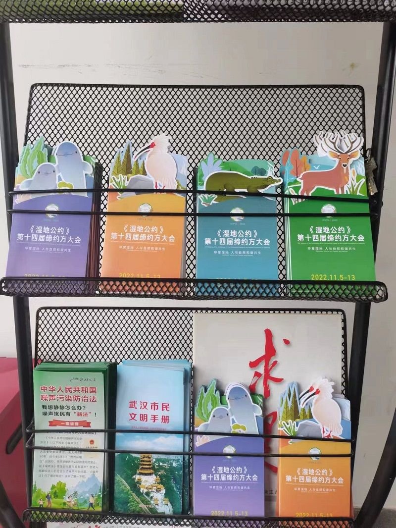 宣传折页已上线沙湖公园。但丽娟 摄