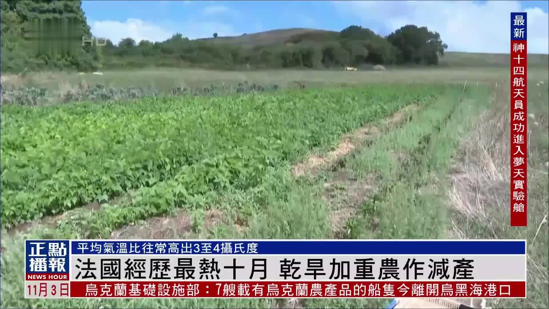 法国经历最热十月 干旱加重农作减产