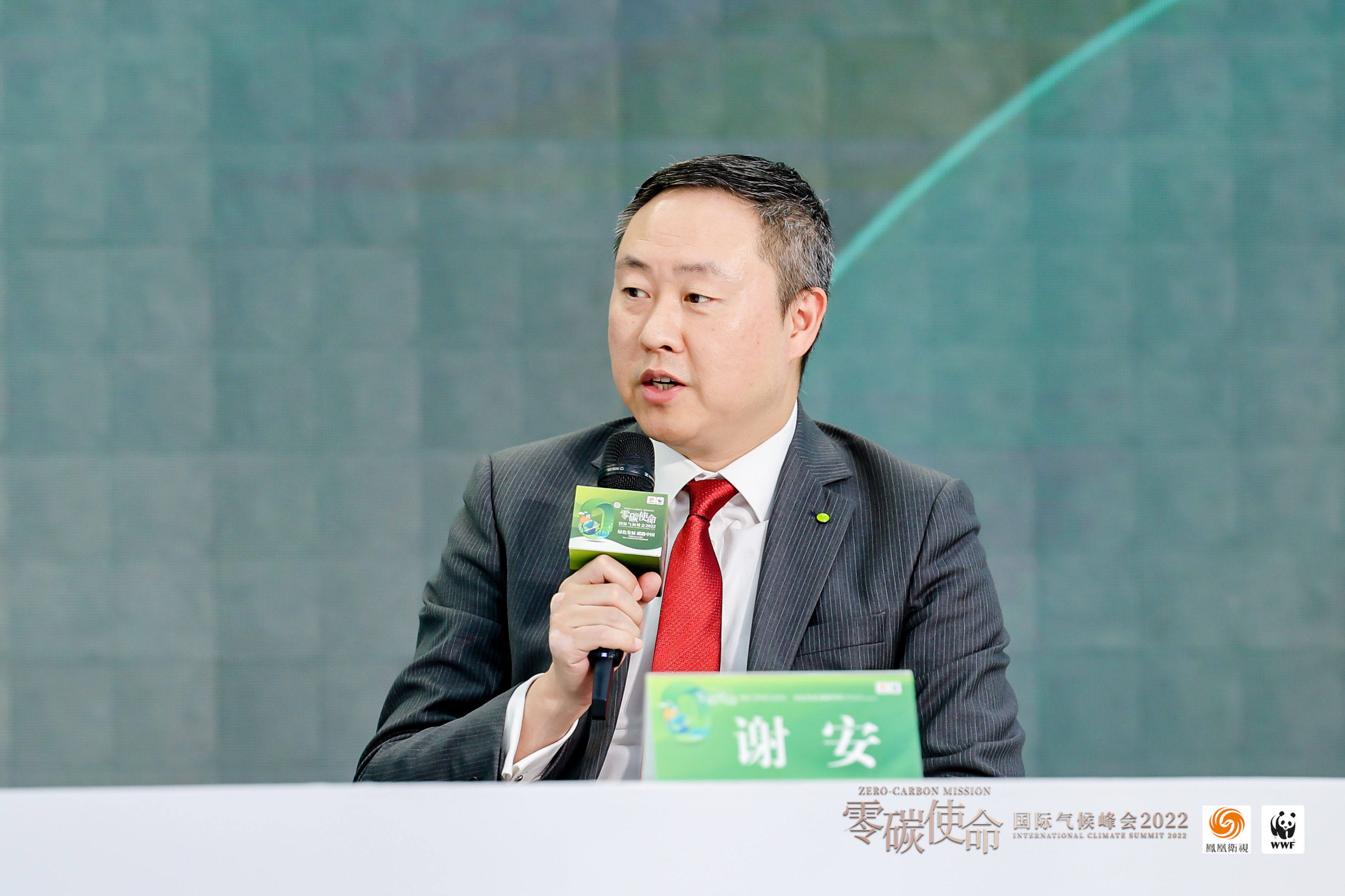 德勤谢安：绿色投融资市场不是没有资本、缺资金 而是缺好的项目和引导_凤凰网财经_凤凰网