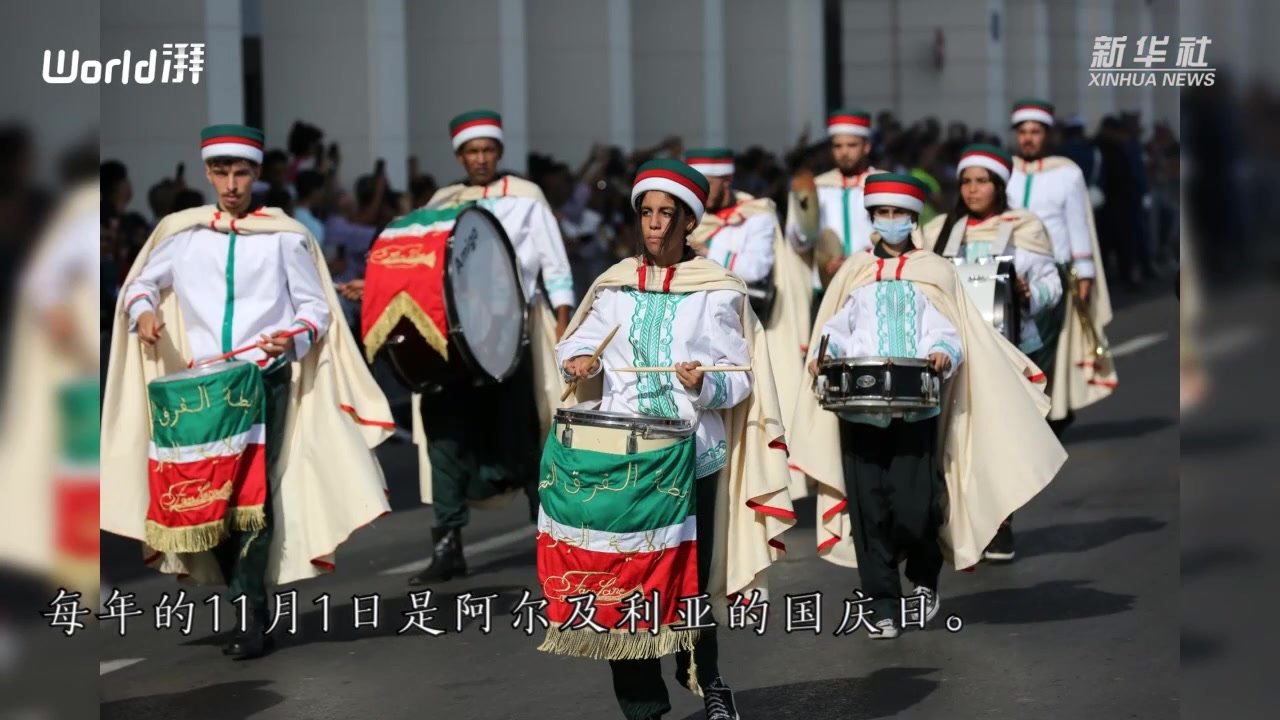 阿尔及利亚举行国庆日庆祝活动