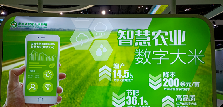 ▲湖南省贺家山原种场展台的电子显示屏（剑裘 摄）。
