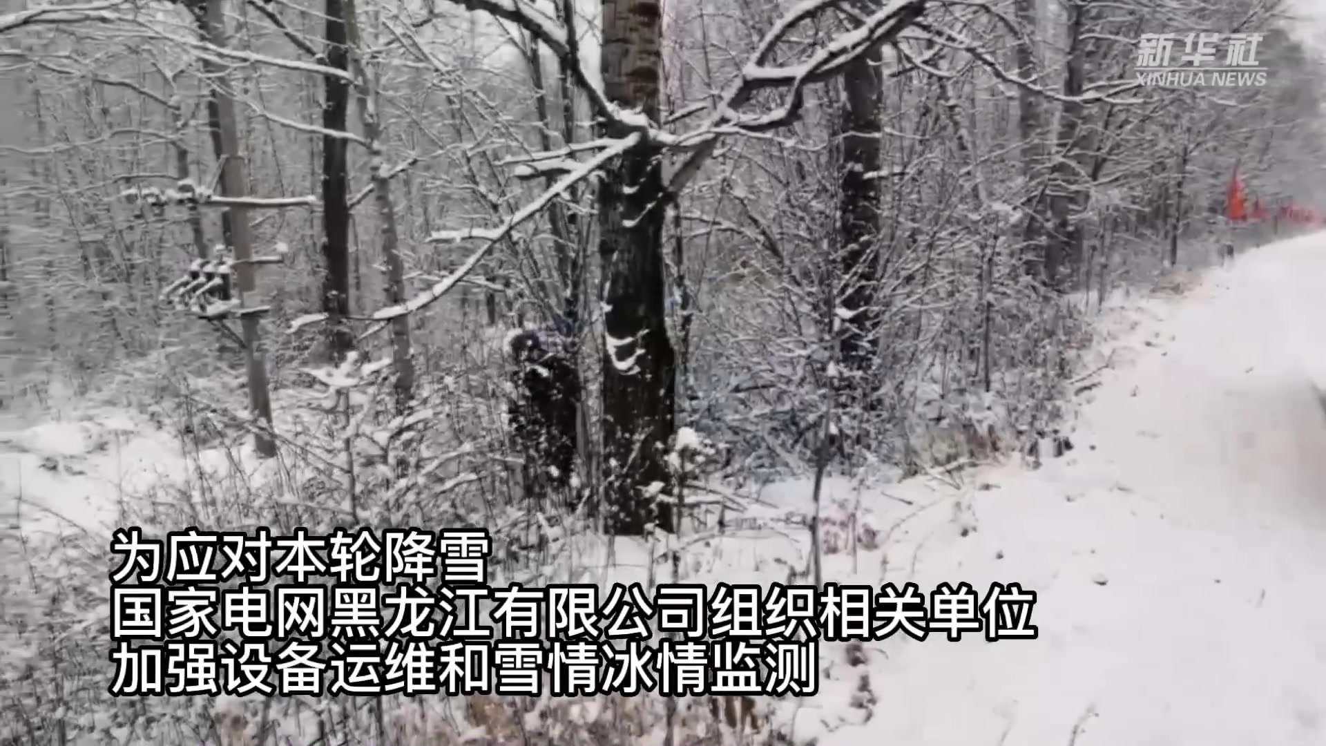 新华全媒+｜大兴安岭地区：积极应对突降大雪 保电网安全运行