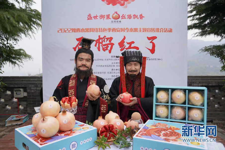 2022陕西水果网络特色季•西安时令水果“石榴红了”主题宣传推介活动上展示的临潼石榴。