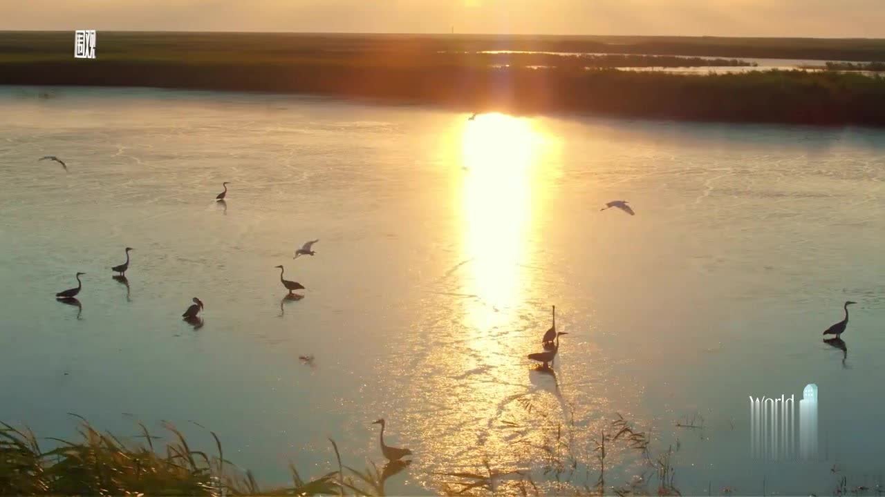 2022环球汽车进口国排名前十