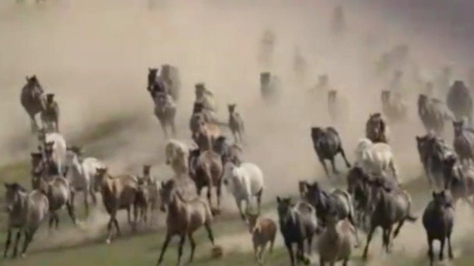 齐·宝力高领衔演奏《万马奔腾》，感受马头琴震撼人心的力量