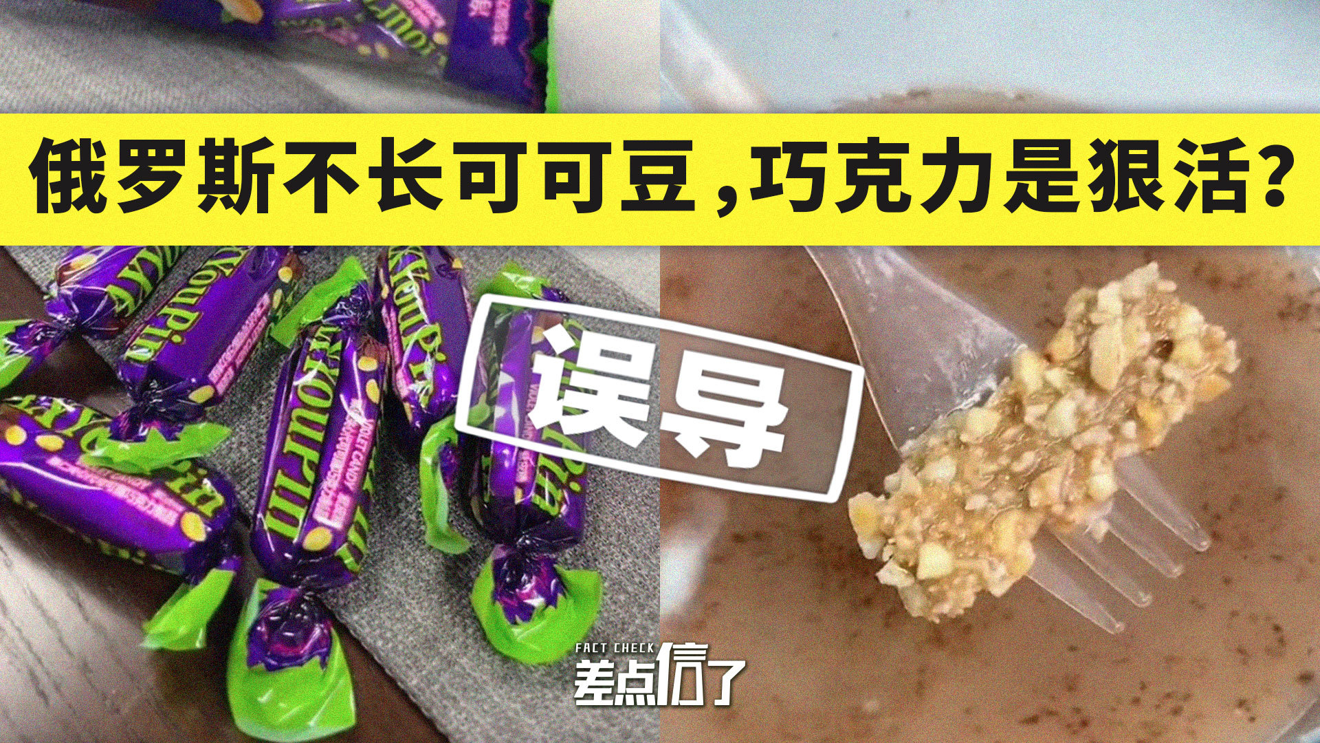 俄罗斯不长可可豆，巧克力是科技与狠活？【差点信了】