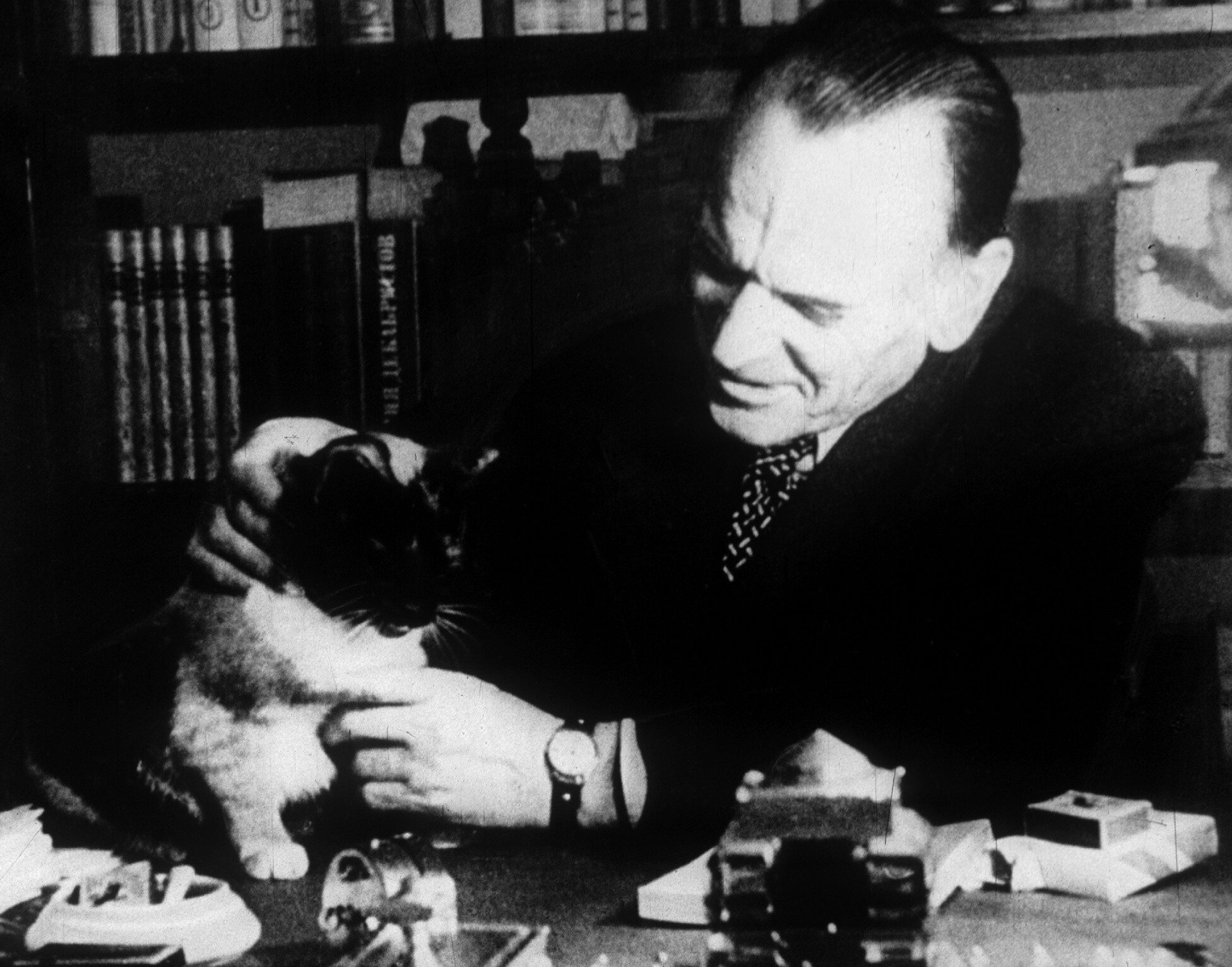 帕乌斯托夫斯基和他的猫