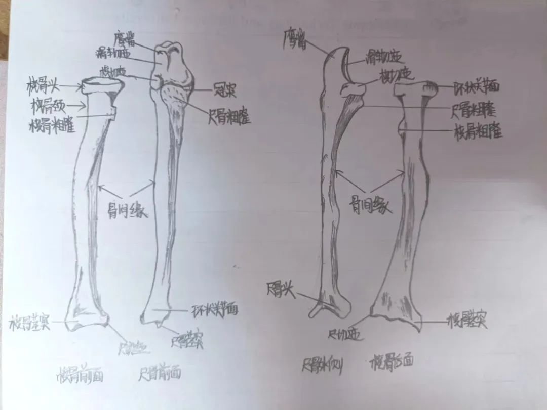 护理学院2021级 付寅欢