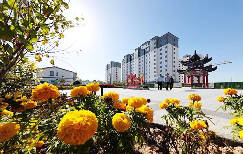 ▲山丹县永宁新村生态及地质灾害避险搬迁安置点