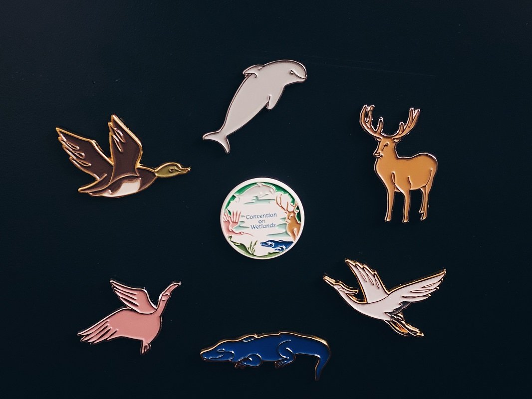 《湿地公约》第十四届缔约方大会限定生态徽章。