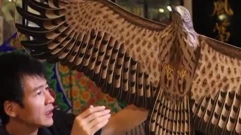 曹氏风筝传人制作的老鹰风筝，放飞天空竟可以吸引真的老鹰