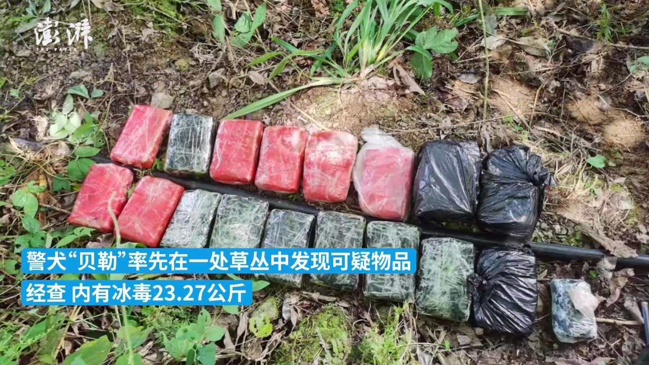 两只缉毒犬协助民警查获特大毒品案