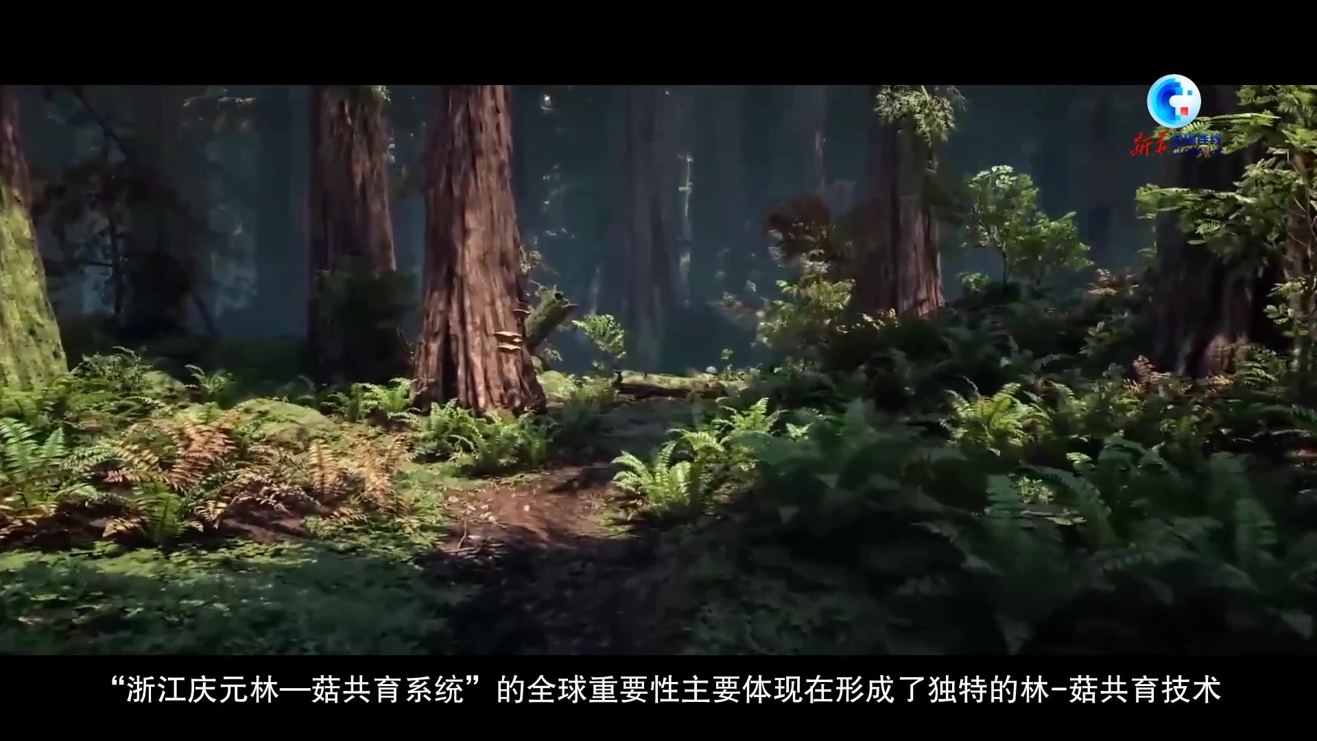 全球连线｜“浙江庆元林-菇共育系统”入选全球重要农业文化遗产