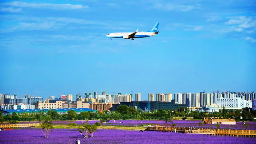 兰州新区获批国家进口贸易促进创新示范区 甘肃唯一