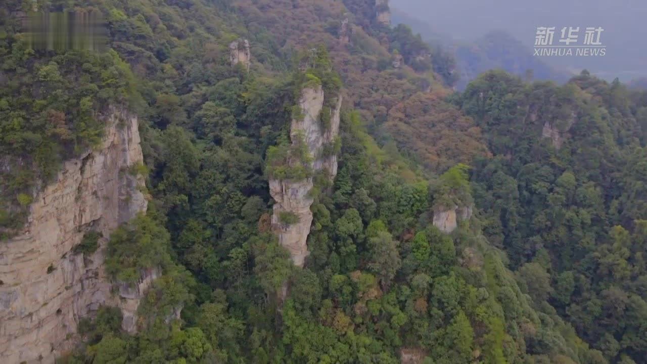 瞰见｜湖南张家界：秋色正浓