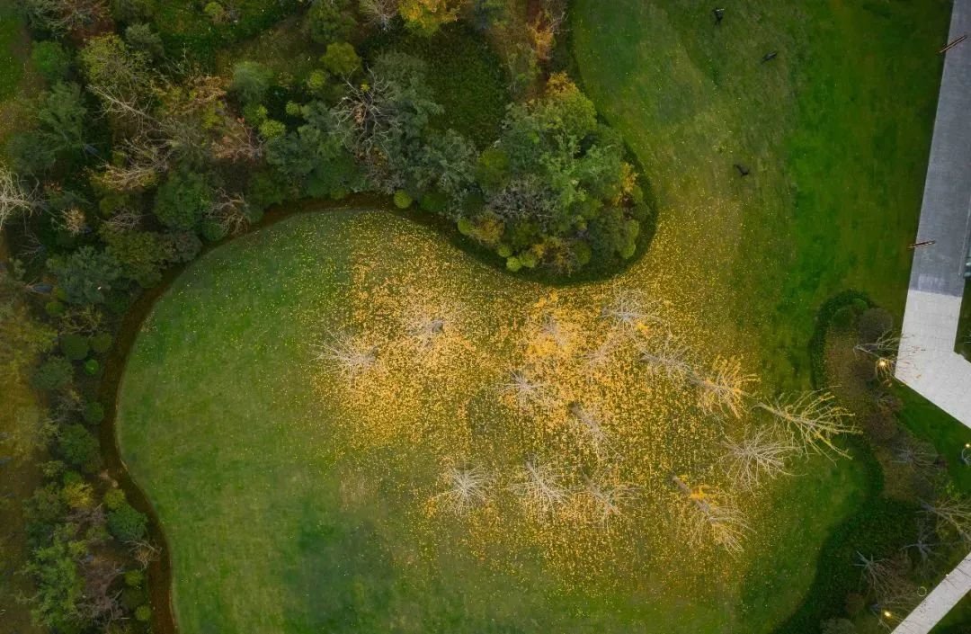 秦创原｜西咸新区沣西新城一建筑荣获国际金奖！