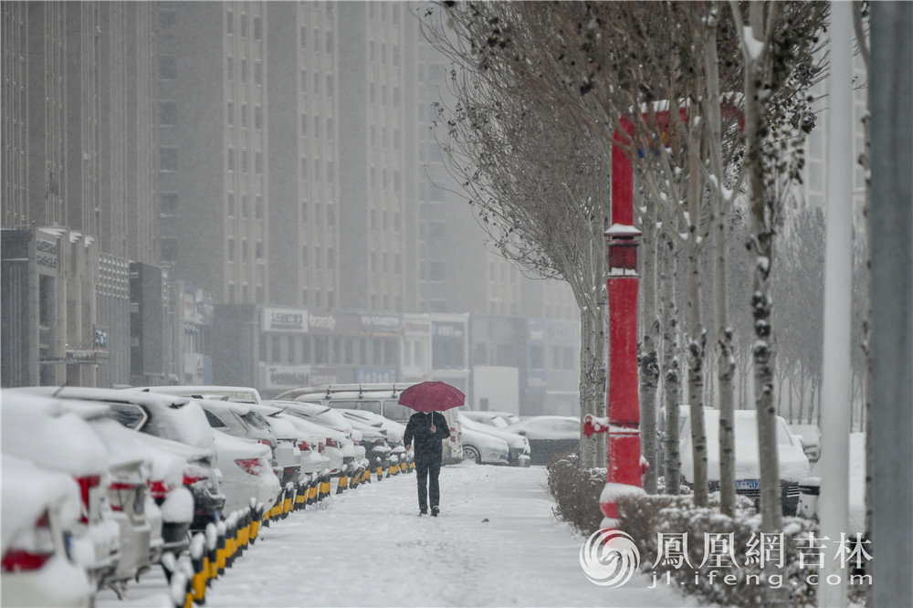 市民在雪中出行。凤凰网吉林 梁琪佳摄