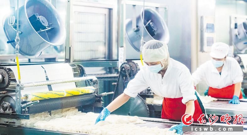 长沙银洲食品有限公司对生产线进行了自动化改造，推动米粉生产走向标准化、工业化。长沙晚报全媒体记者 郭雨滴 摄