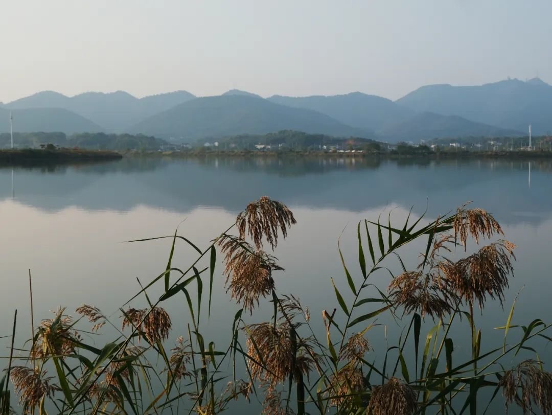 山明水净柳叶湖(彭小清摄)