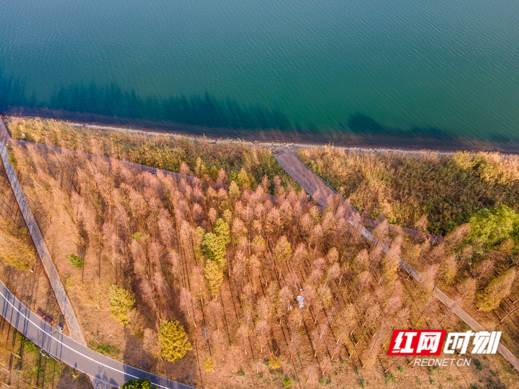 DJI_0071.JPG