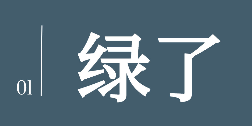 皖美城市说·安徽这十年丨淮北 反转了！