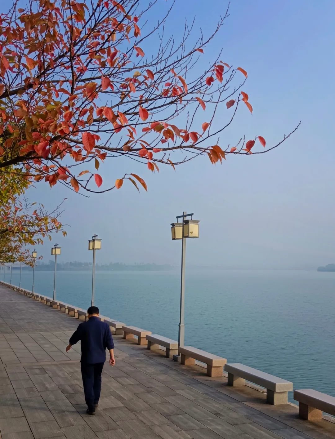 临湖游道秋意渐浓 (商桂芬摄)