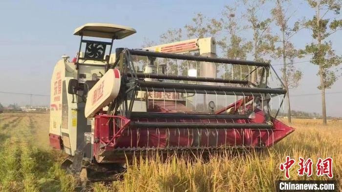 无人收割机正在地里“大显身手”,几分钟就可以收割完一亩田。 宿城区委宣传部供图