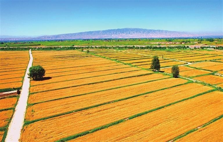 甘肃武威:砥砺奋进新征程 奋楫扬帆再出发凤凰网甘肃_凤凰网