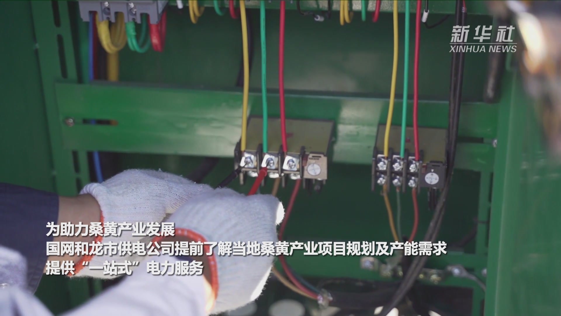 吉林延边：“一站式”电力服务助力桑黄产业发展