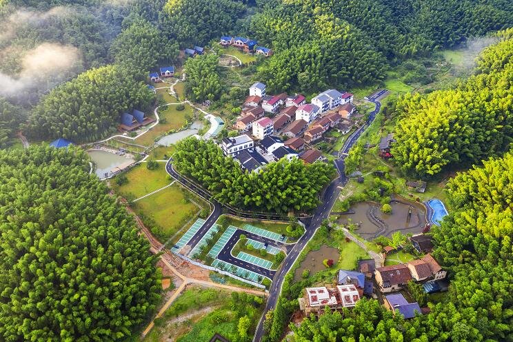 江西湾里管理局谱写新时代全域旅游发展新篇章凤凰网江西_凤凰网