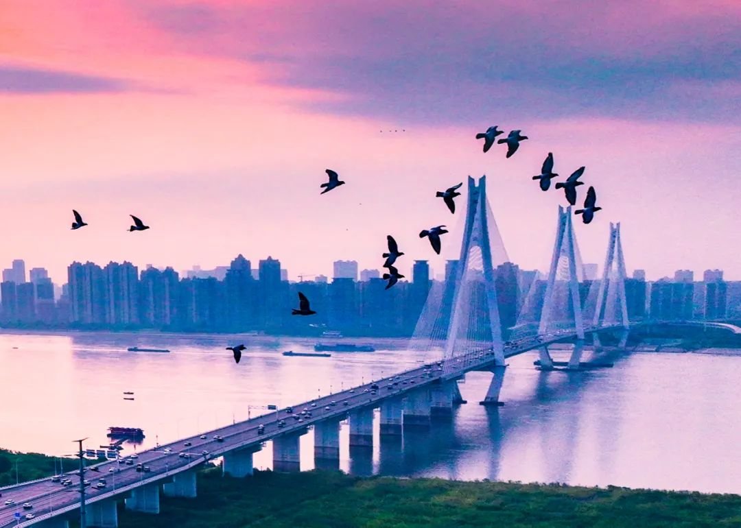 《江桥飞鸽》城市摄影队 周江平 摄于二七长江大桥