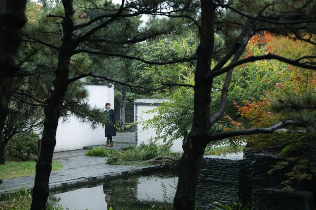 与“一味园”相临的常德园才有初秋的感觉。(潘东方摄)