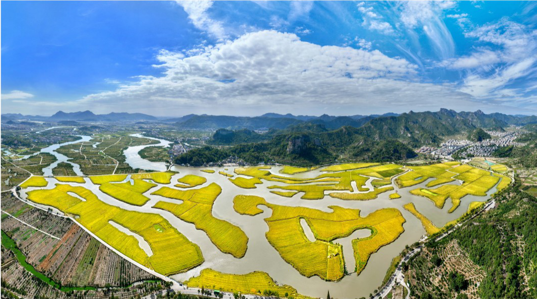 桃江十三渚景区图片