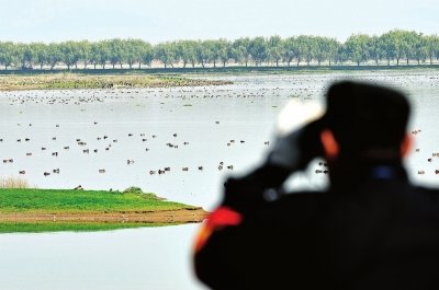 府河湿地一位志愿者在湖面巡逻。