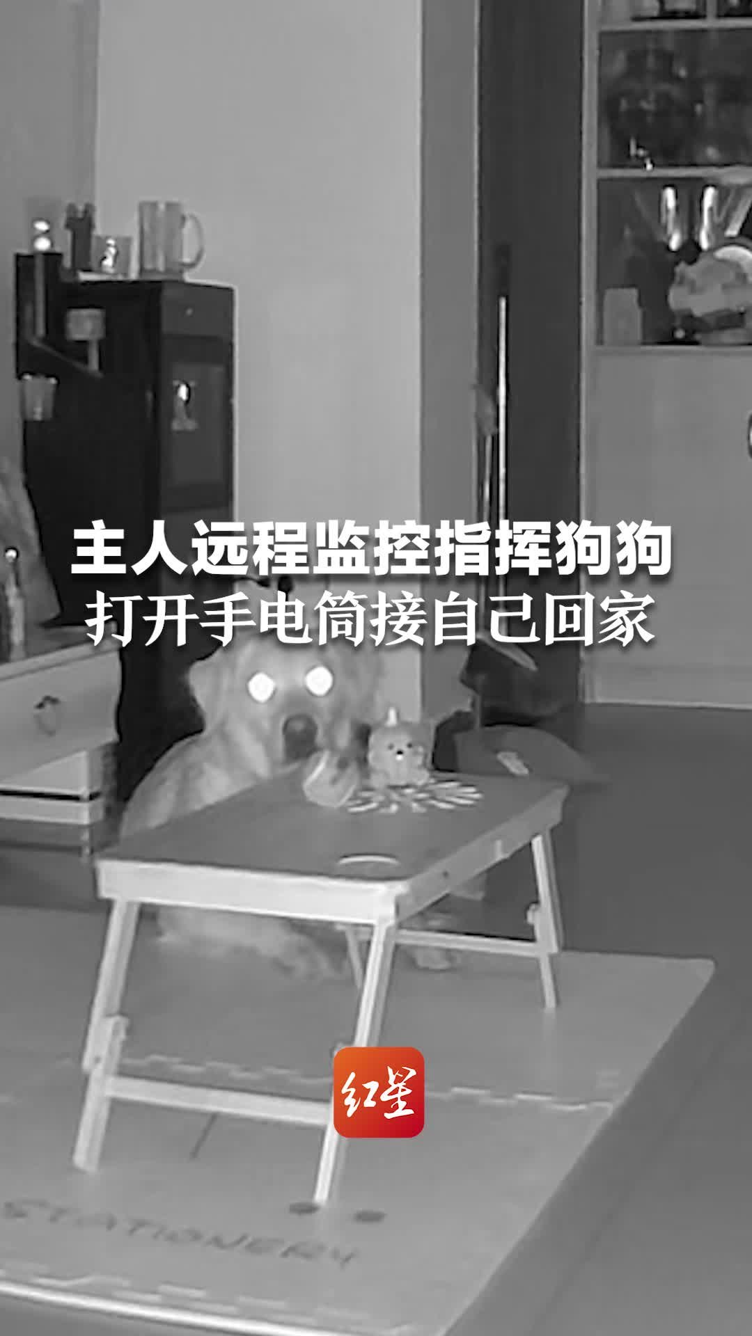 台灣現貨 男用女用老人用硅膠防漏接尿器 集尿器 應急尿袋 接尿壺 成人矽膠集尿袋 接尿袋 老年透氣接尿器 小便器 | 蝦皮購物